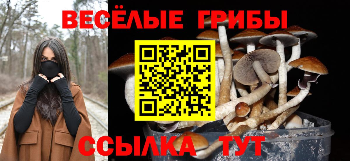 Псилоцибиновые грибы MAGIC MUSHROOMS  Вход с VPN  Балабаново 