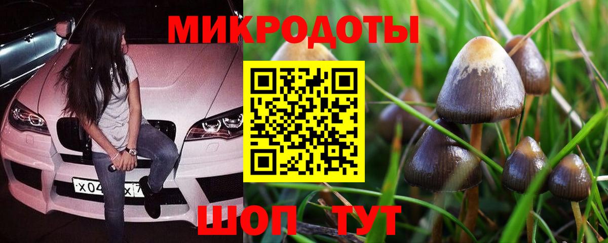 Псилоцибиновые грибы мицелий Балабаново